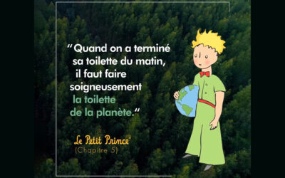 Bienvenue dans la forêt du Petit Prince !