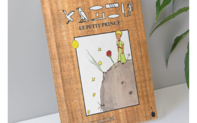 The Little Prince in hieroglyphics already available!