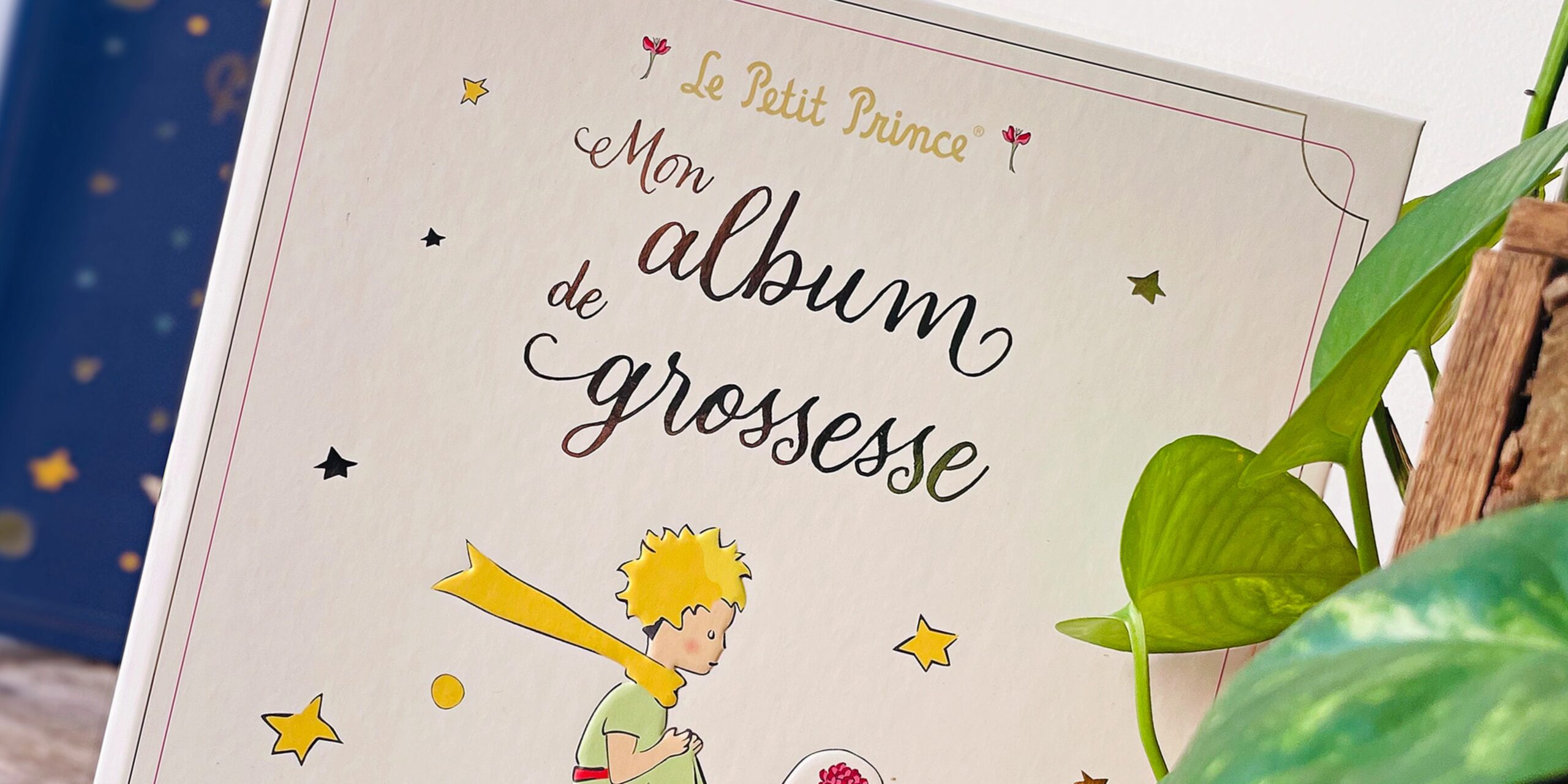 The new Le Petit Prince pregnancy and baby albums by Hatier - Le Petit ...