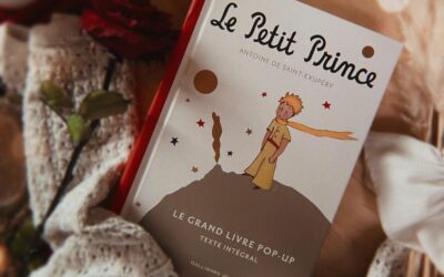 Grupo Calendrier Le Petit Prince 2024 