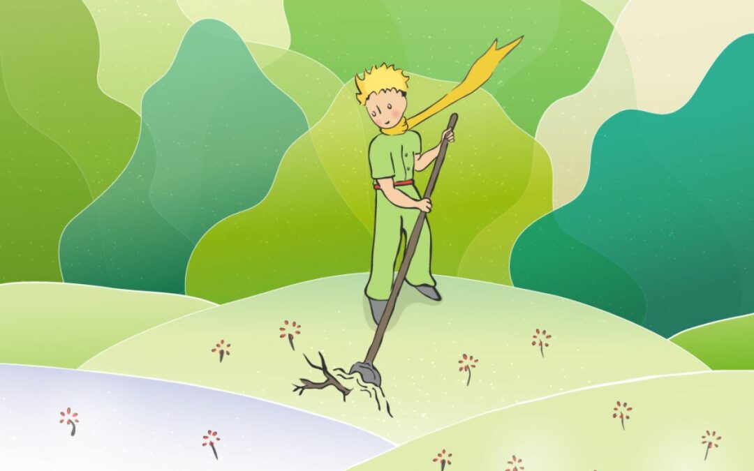 Le Petit Prince fête la Journée de la Terre 🌿🌍