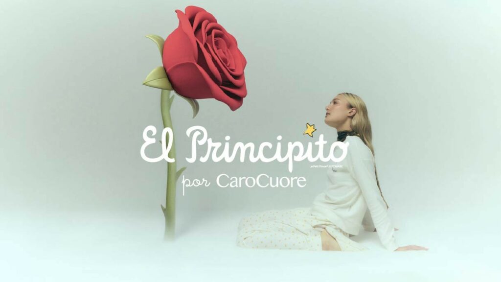 Web_ElPrincipito